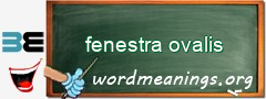 WordMeaning blackboard for fenestra ovalis